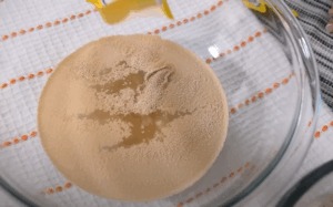 aktiviranje kvasca